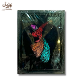 Whirling Dervish Velvet Frame