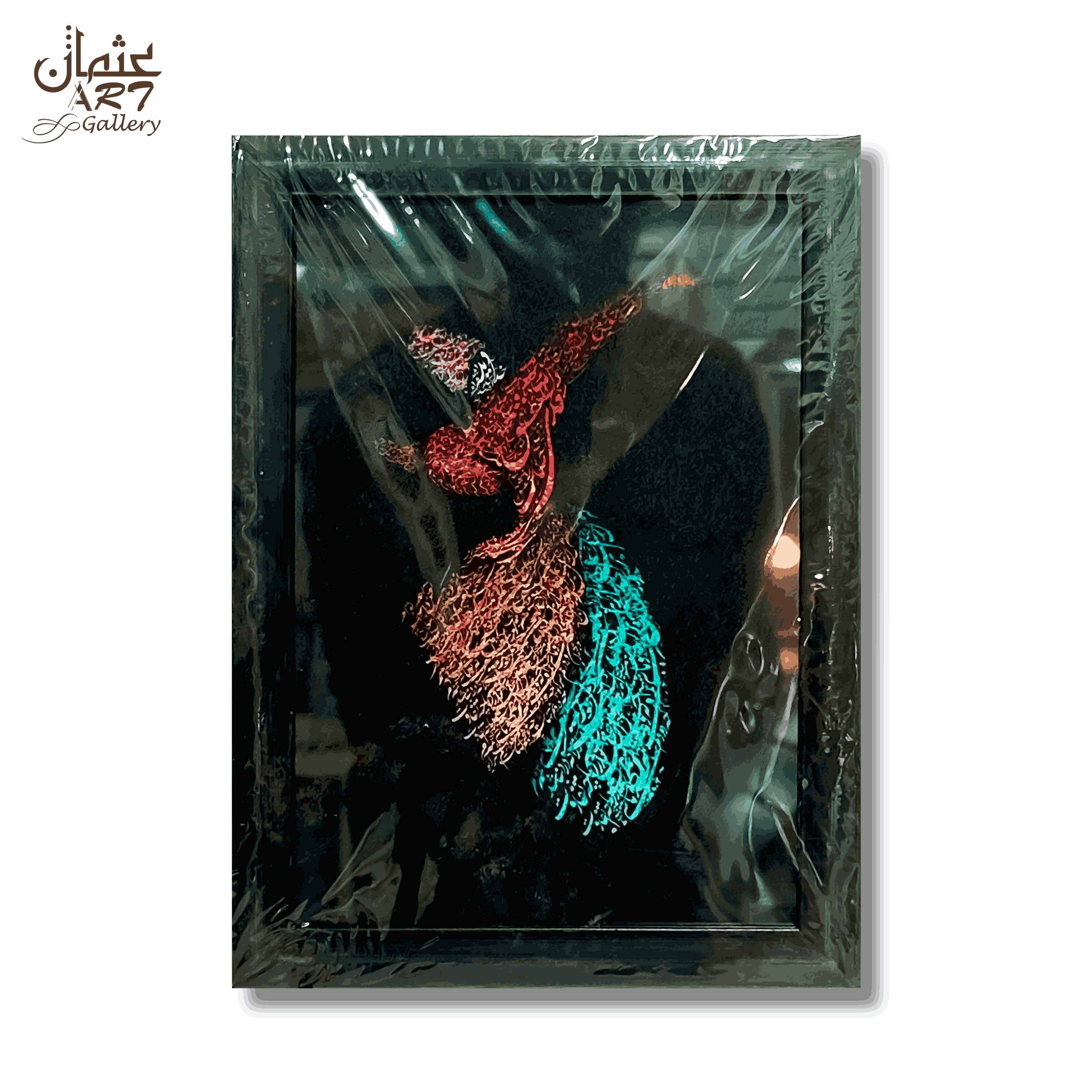 Whirling Dervish Velvet Frame